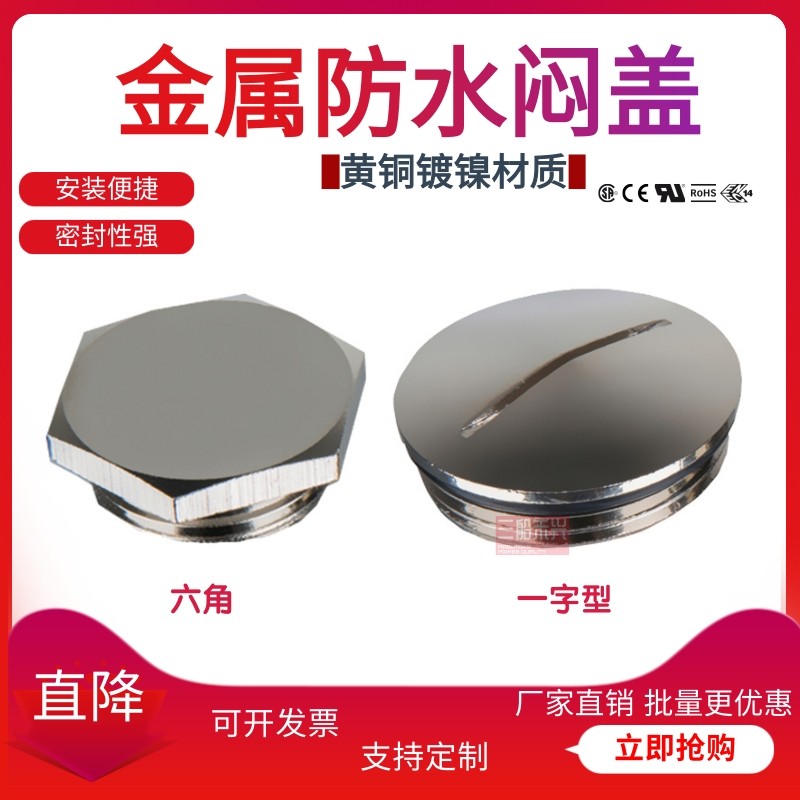 304不锈钢金属闷盖堵头塞头