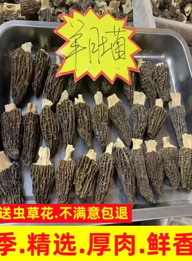 羊肚菌干货100g250g500g云南精选特产羊肚菌新鲜干羊肚菌菇类菌类