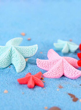 生态瓶海景鱼缸摆设可爱风小摆件