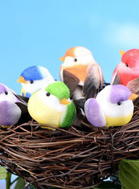 七彩小公仔鸟窝盆栽摄影卡通动物