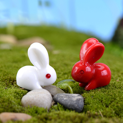 苔藓微景观园艺动物摄影小摆件