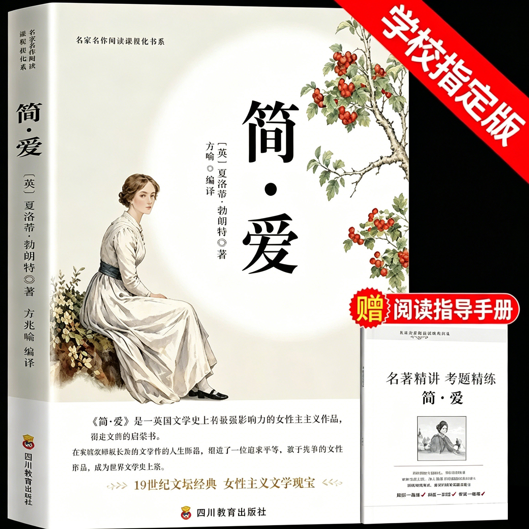 简爱书籍正版原著完整版 九年级下册的课外书 初三9下名著语文书目 推荐初中课外阅读书籍必读正版