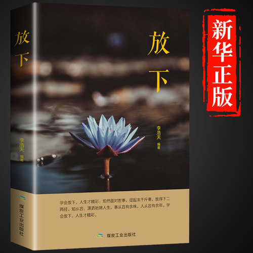放下书籍人生哲学通俗读物