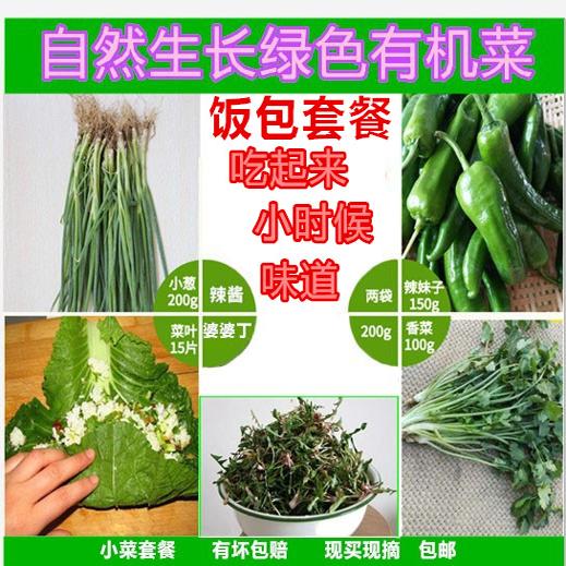 东北新鲜大白菜叶小葱香菜辣椒农家打饭包菜叶打菜包饭包白菜叶子