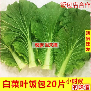 白菜叶子辽宁一份20片包邮新鲜大白菜叶子打饭包菜叶东北熏酱蔬菜