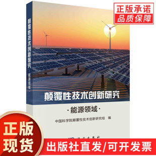 颠覆性技术创新研究.能源领域