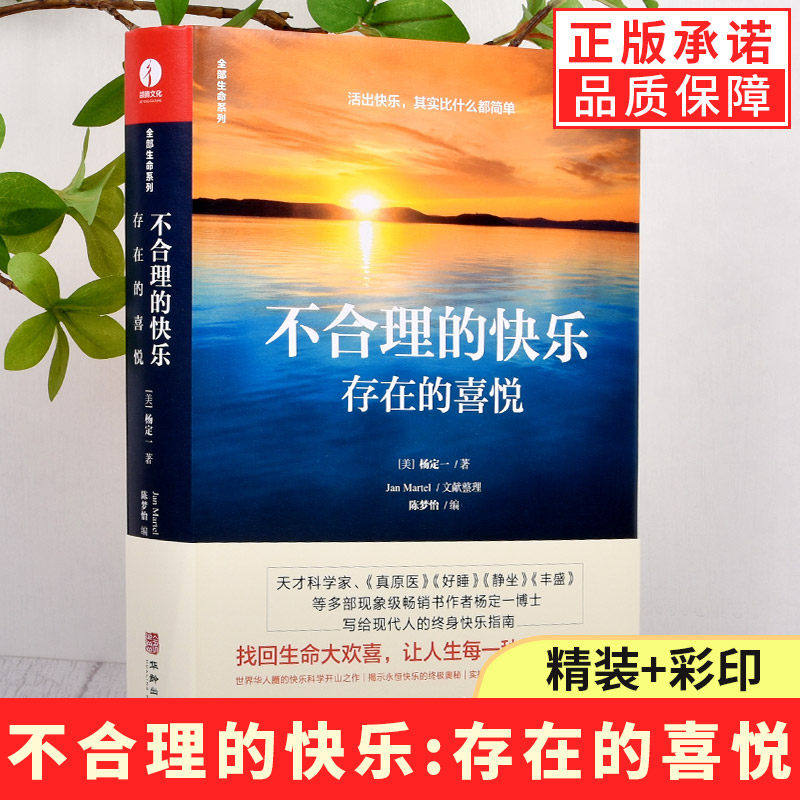 【现货正版】不合理的快乐