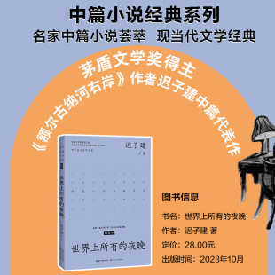 茅盾文学奖得主 社 世界上所有 长江文艺出版 作者迟子建中篇代表作 额尔古纳河右岸 系列 中篇小说经典 夜晚 现货正版