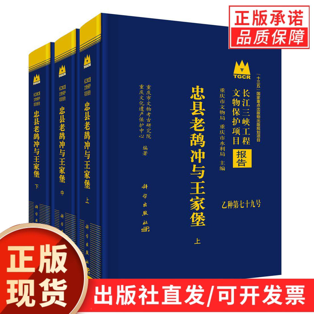 忠县老鸹冲与王家堡（全三册）
