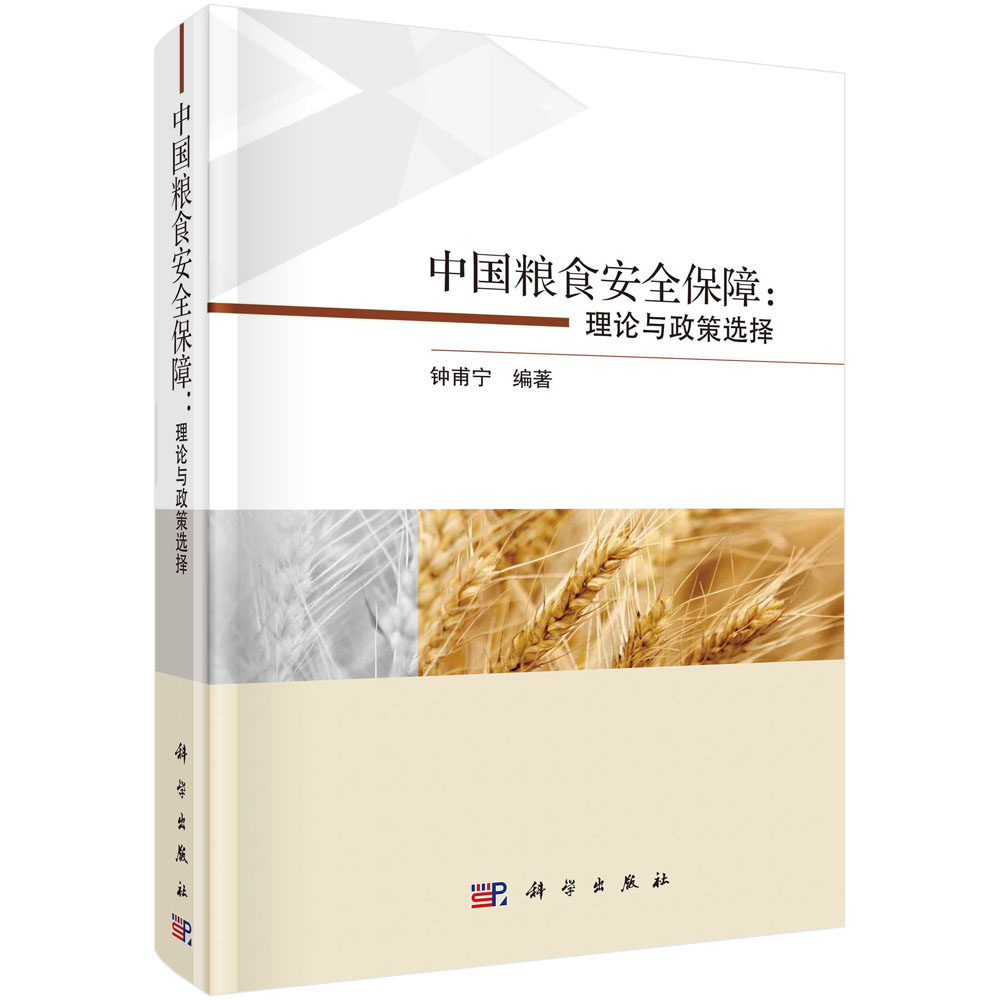 中国粮食安全保障:理论与政策选择/钟甫宁