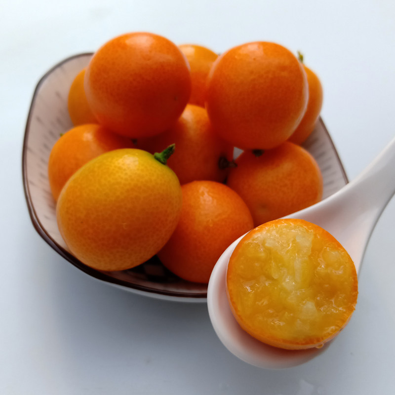 【上午摘下午发】现摘新鲜黄皮金桔金钱橘麻皮金桔孕妇咳嗽煮水果