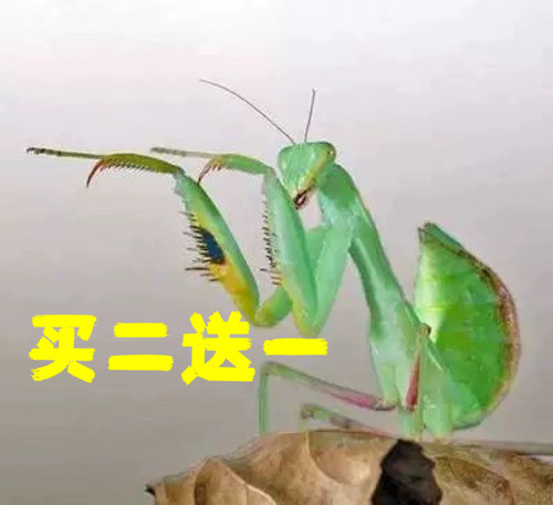 爬宠活体水艺爬宠包邮包活