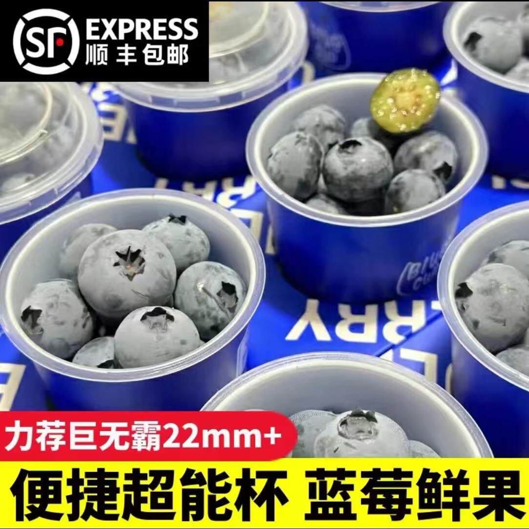 顺丰包邮】高山蓝莓鲜果当季新鲜蓝莓
