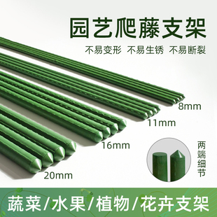 爬藤架葡萄架子庭院户外花架包塑钢管固定植物支撑杆防倒园艺支架