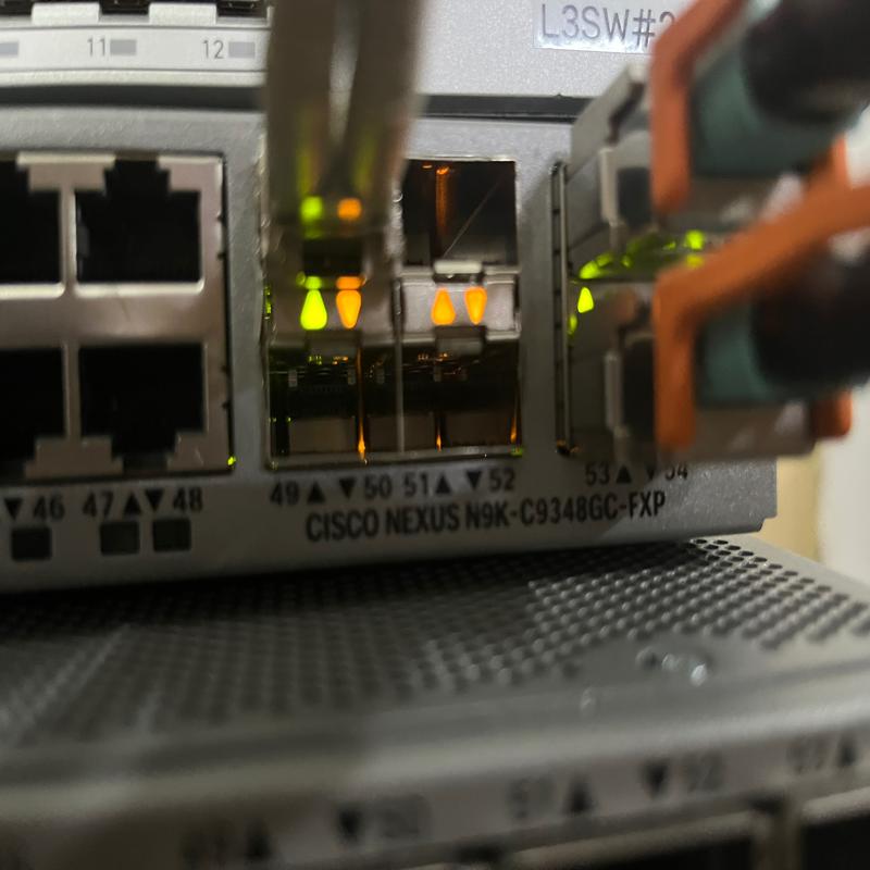 检测思科cisco N9K-C9348GC-FXP 带 咨询