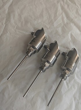 EH恩德斯豪斯 DTT31-A1A111AE2CAB 议价 维修