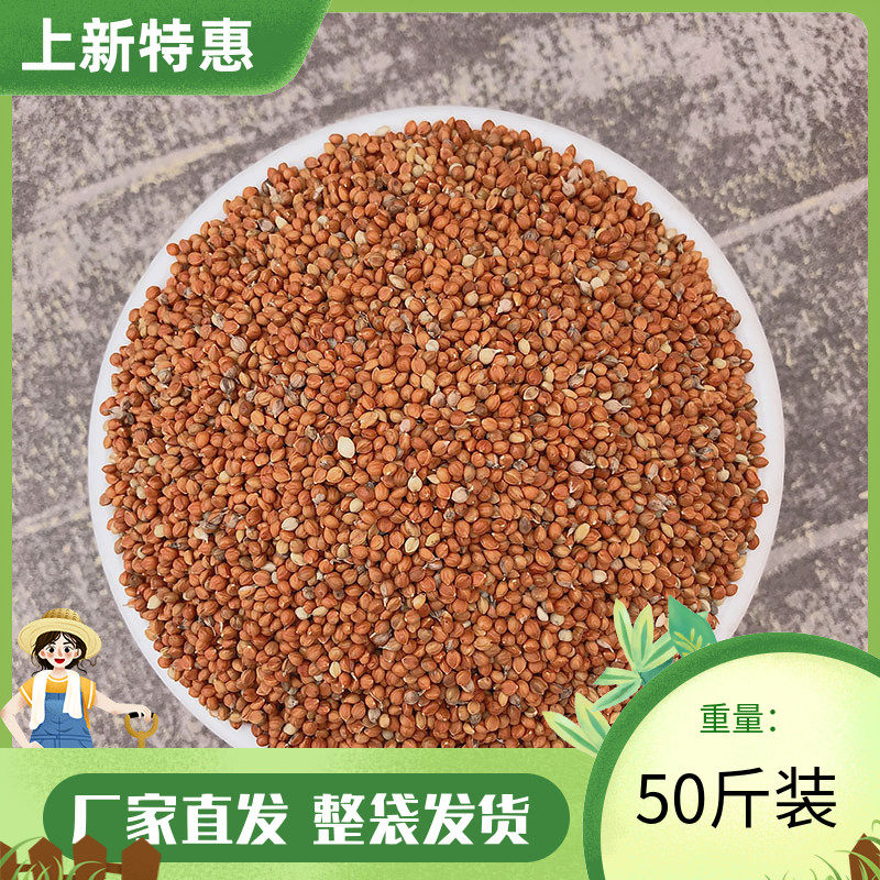 炫料红谷子鸟食鸟粮虎皮牡丹鹦鹉