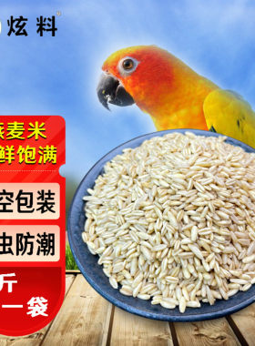 燕麦/鸟食/鸟粮/雀麦/虎皮鹦鹉