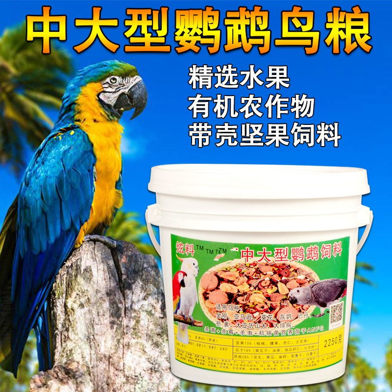 中大型鹦鹉有壳粮饲料灰鹦鹉