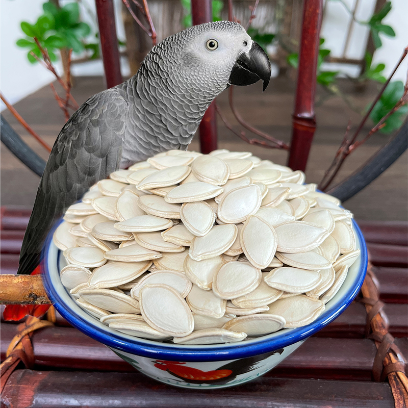 炫料带壳生南瓜子中大型鹦鹉鸟粮鸟食灰鹦鹉新货白瓜子仓鼠零食