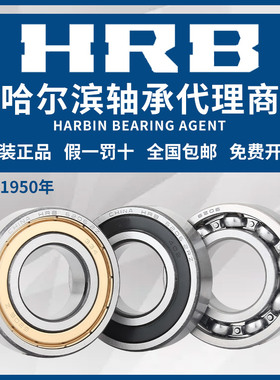 HRB 哈尔滨轴承 6306 6307 6308 6309 6310 6311 - ZZ 2RZ