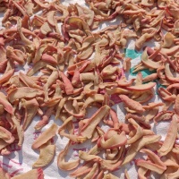 赣榆特产脱水蔬菜干菜干萝卜干萝卜片萝卜丝萝卜条萝卜干红萝卜干