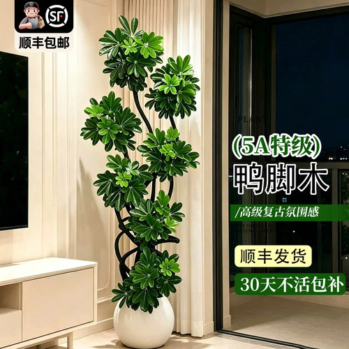 【顺丰发货】绿植到家快人一步
