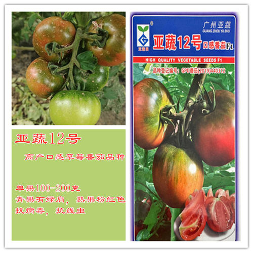 亚蔬12号口感草莓番茄种籽孑绿腚铁皮番茄种子口感好产量高抗病好