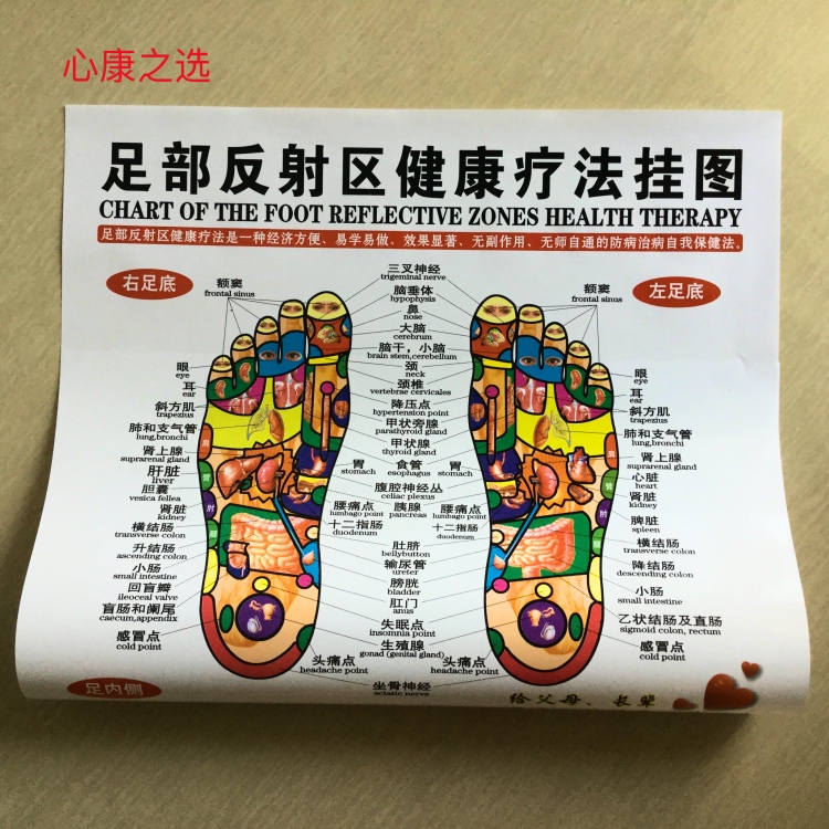 清晰防水脚部穴位挂图脚底按摩头耳手足刮痧图医务室中医诊所用品