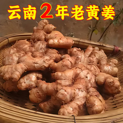 农家自种小黄姜老姜正宗生姜新鲜现挖月子姜罗平小黄姜产地直发