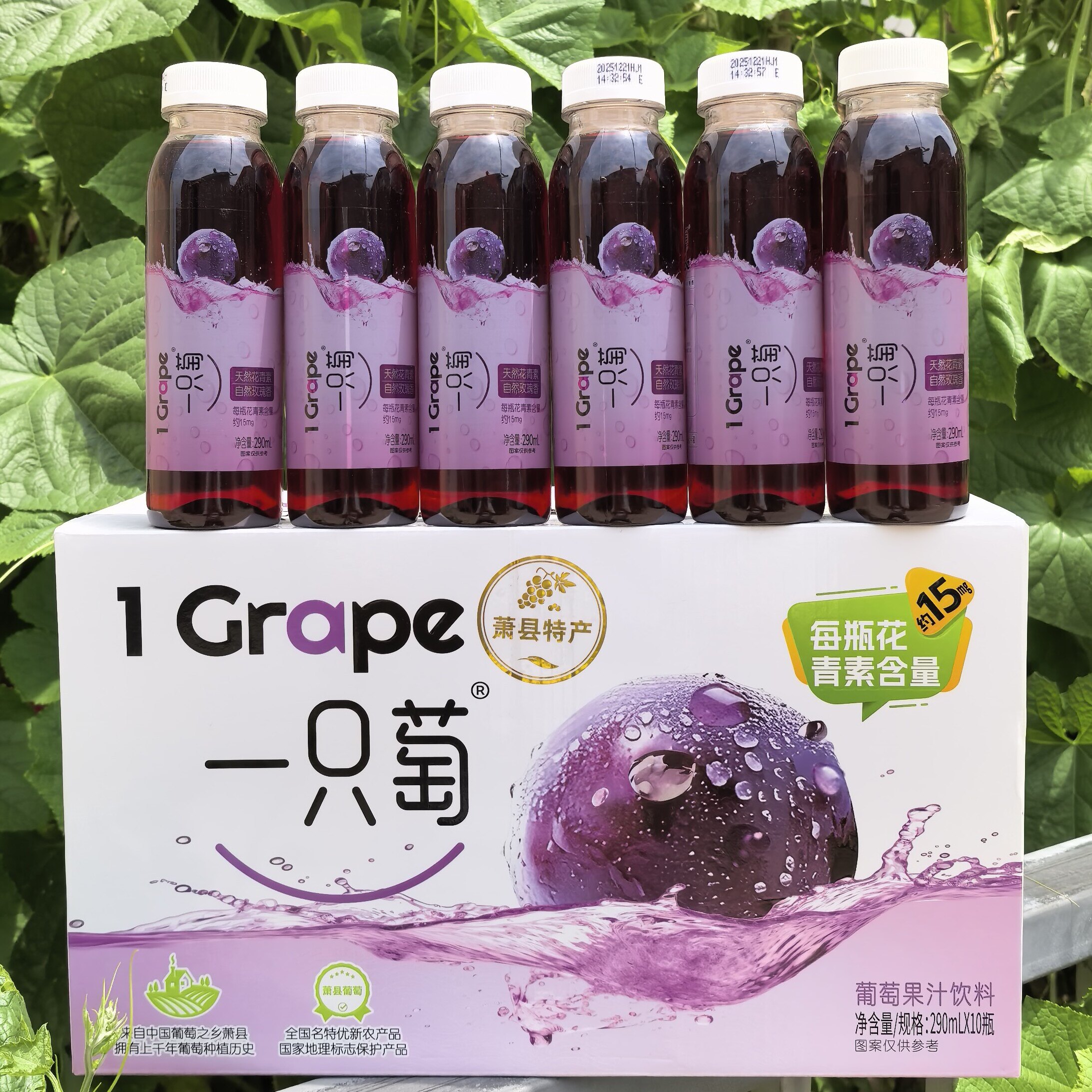 一只萄葡萄汁果汁饮料萧县特产葡果味/风味/果汁饮料
