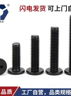 CM2x2→2x12黑色防锈扁平头螺丝钉304不锈钢耐腐蚀高盐雾达克罗