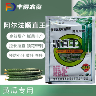阿尔法黄瓜顺直王 增产抗寒抗旱拉长拉直灵顶花带刺拉长素