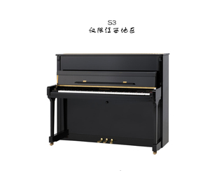 BECHSTEIN S3 贝希斯坦德国高端二手立式钢琴家用专业演奏