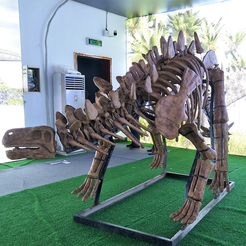 仿真恐龙骨架模型动物骨骼侏罗纪大型博物馆恐龙化石装饰定制摆件