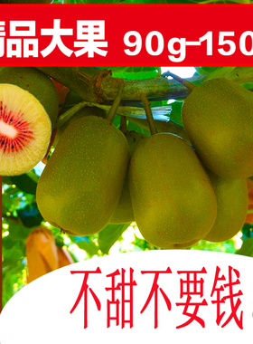 特级大果四川红心猕猴桃优质当季新鲜孕妇水果现摘现发5斤包邮