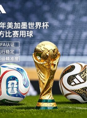 Adidas世界杯足球比赛专用球