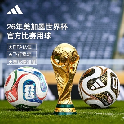 Adidas世界杯足球比赛专用球