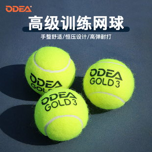 欧帝尔初学进阶高级网球Gold专业训练球耐打DD2DD3高弹俱乐部网球