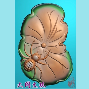 荷叶蜘蛛喜从天降