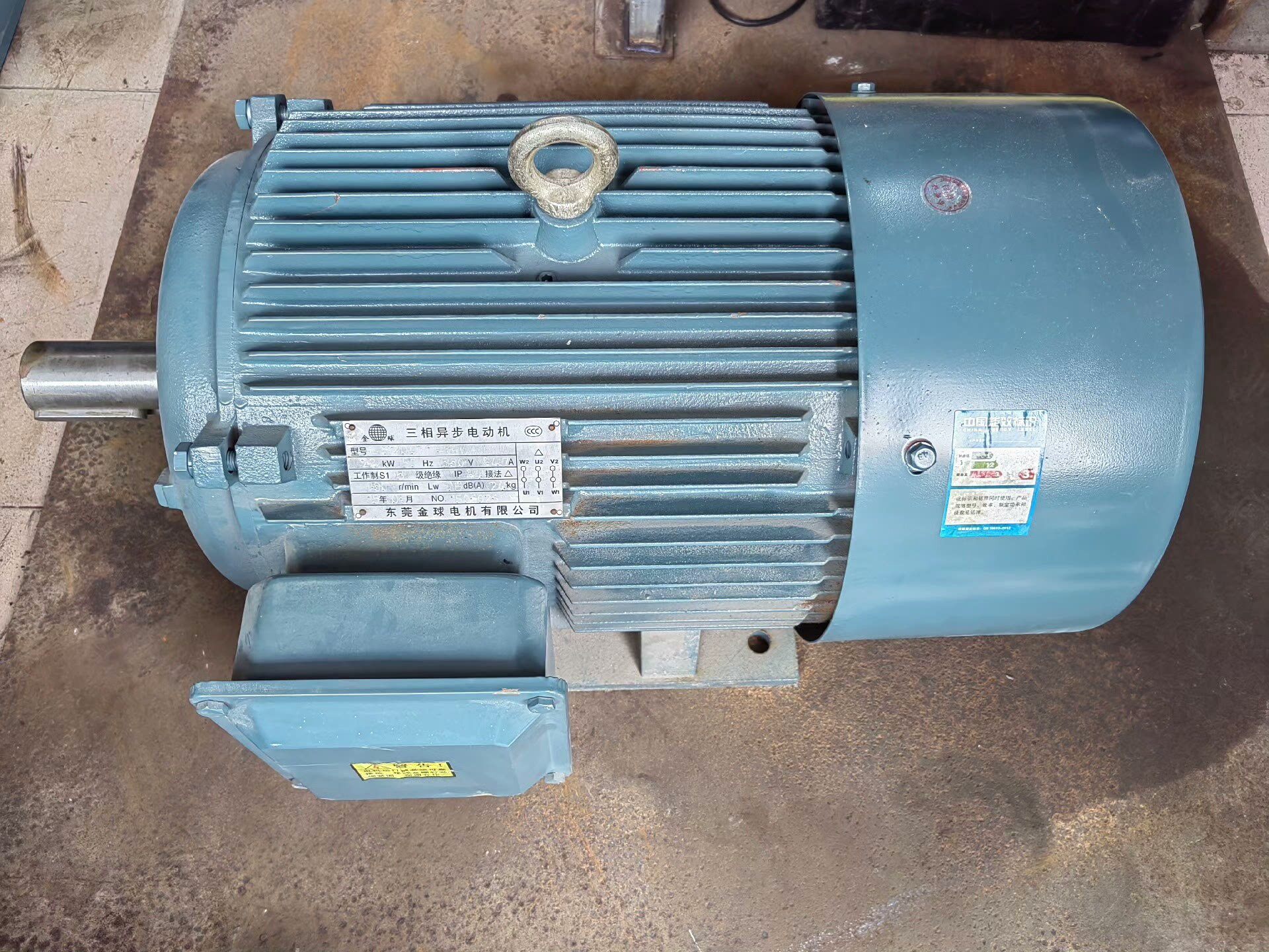 东莞金球纯铜线电机l丫200l2一6卧式22千瓦(380v)议价品