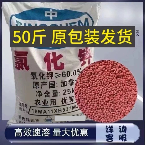 俄罗斯进口红氯化钾通用肥料