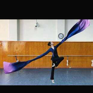 北舞同款身韵巡礼袖舞蹁跹水袖服装表演演出集训练功服翩袖甩袖舞