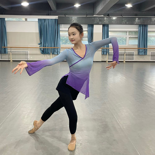 古典舞服舞蹈纱衣身韵练功服中国舞蹈女上衣飘逸加钻艺考集训秧歌