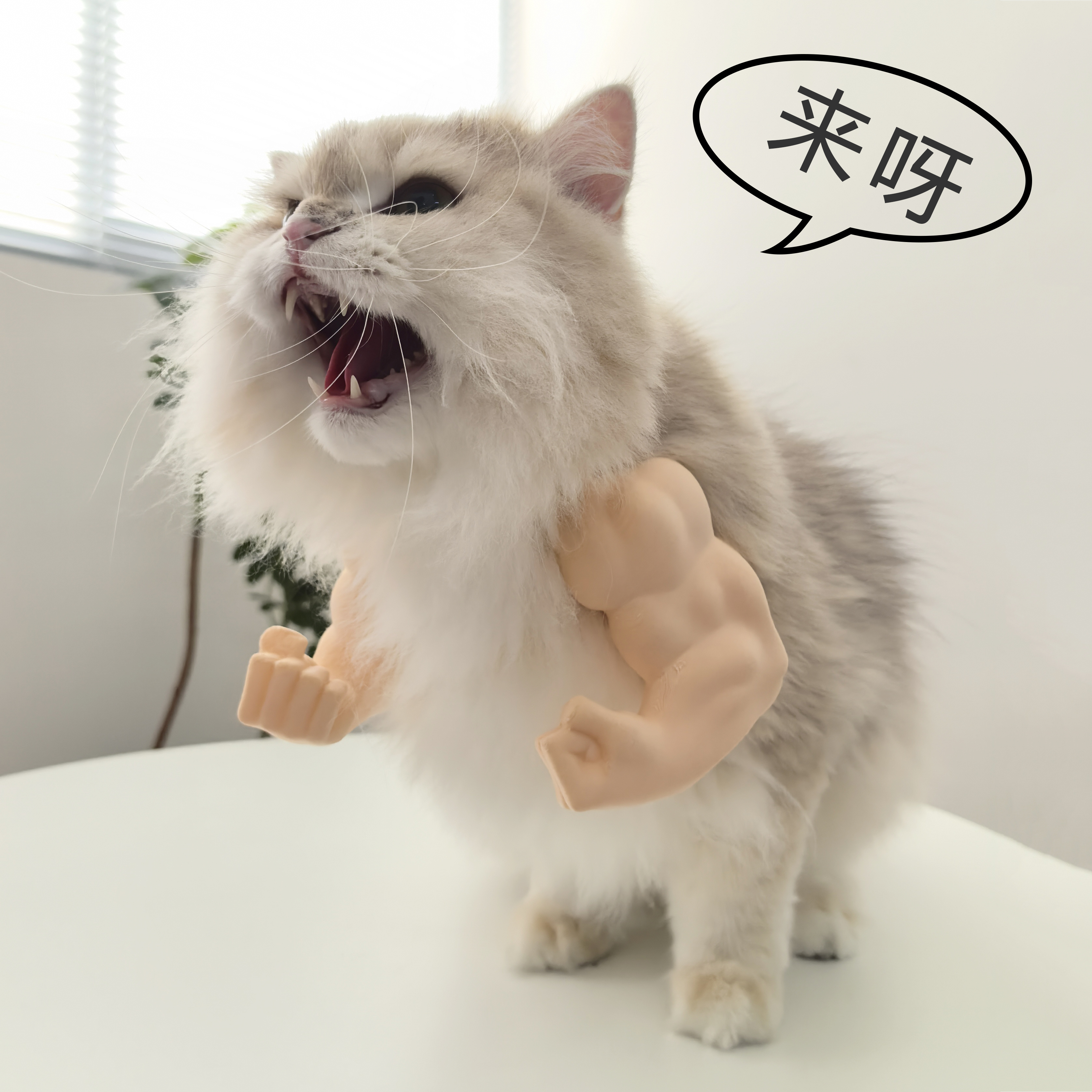 猫咪肌肉手臂3d打印绿巨人麒麟臂