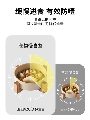 Керамическая керамическая керамическая керамическая кошачья чаша для собак -собаки с собачьими собаками.