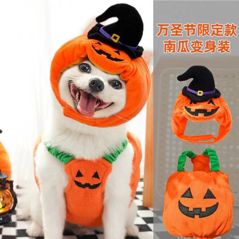 猫狗棉衣万圣节南瓜衣服可爱变装