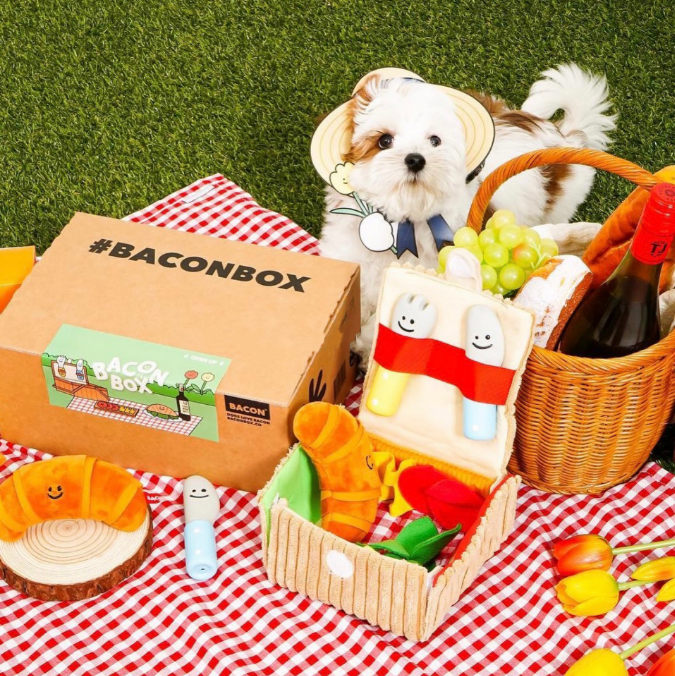 益智宠物玩具藏食漏食发声解闷