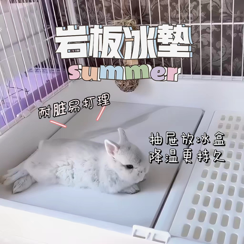 达洋R81宠物底板冰凉触感散热