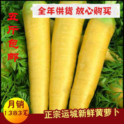 26年新货全年供货山西新鲜蔬菜黄胡萝卜黄萝手抓饭3斤5斤9斤100斤